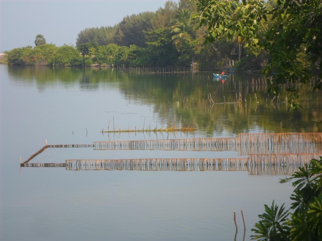 Lord Of The Forest Batticaloa Ruang foto